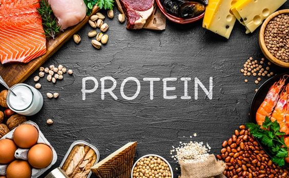 climate-friendly protein